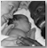 Bibliographie autour de l'accompagnement � la naissance - Christophe Massin