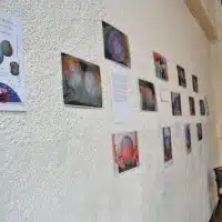 expo-barbouille1 JDD2013