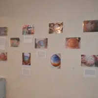 expo-barbouille2 JDD2013