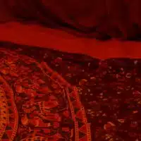 JDD 2018 Tente rouge